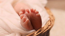 Более 80 % составляет выживаемость глубоко недоношенных младенцев в Беларуси