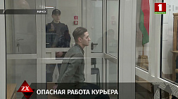 В Минске вынесен приговор курьеру телефонных мошенников