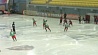 Сборная Беларуси по хоккею с мячом проиграла сборной США 5:14