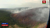 Авиация приступила к тушению масштабных лесных пожаров в Сибири 