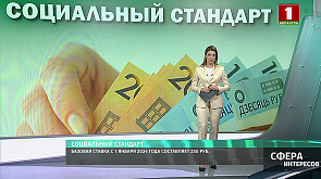 Базовая ставка с 1 января 2024 года составляет 250 рублей