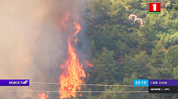Лесные пожары в Греции называют национальной катастрофой