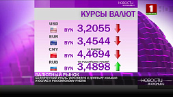 Курсы валют на 11 декабря: белорусский рубль укрепился к доллару и юаню и ослаб к российскому рублю