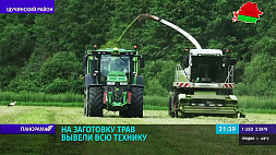 В Беларуси приступили ко второму укосу трав - какие задачи?