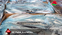 На  территорию ЕАЭС пытались ввезти 20 тонн рыбы по недействительным документам