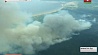 Более 2 000 человек эвакуированы в Канаде из-за лесных пожаров 