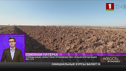 Производство сельхозпродукции в Беларуси за 5 месяцев выросло до 6,7 млрд белорусских рублей 