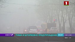 Сильный туман окутал Беларусь, объявлено штормовое предупреждение 