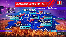 Почти 1,5 млн т зерна - результат с полей Беларуси на утро 24 июля 