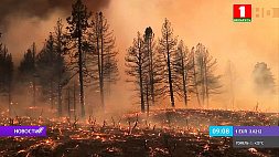 На фоне сильнейшей засухи - лесные пожары в США,  леса полыхают и на Дальнем Востоке России