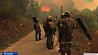 В лесных пожарах в испанской Галисии погибли два человека