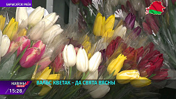 В Борисовском лесхозе цветоводы вырастили более 50 тысяч бутонов тюльпанов