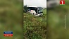 Белорусский автобус попал в ДТП в Украине