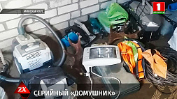 14 уголовных дел возбуждено в отношении серийного домушника из Смолевичского района