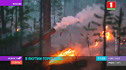 В Якутии горят леса
