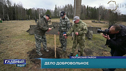 Более 10 млн рублей, собранных за субботник, направят на восстановление мемориального комплекса "Хатынь"