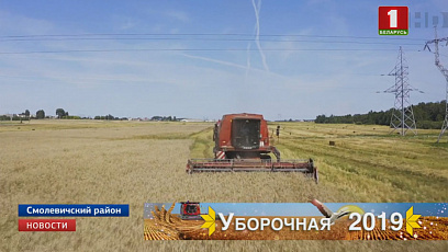 Беларускія аграрыі пераадолелі трохмільённую мяжу ўраджаю