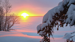 Зимнее солнцестояние: с 21 на 22 декабря самая длинная ночь в году