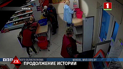Установлена личность женщины, похитившей продукты у 85-летней бабушки в Борисове