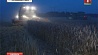 В Минской области началась ночная уборка зерновых