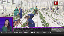 В Беларуси за 2 месяца 2022 года произвели сельхозпродукции на 2,4 млрд руб. в хозяйствах всех категорий