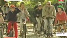 В столице Бельгии прошла необычная акция  под названием "День без машин"
