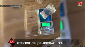 29-летняя закладчица попалась в Мозыре