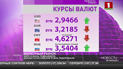 Курсы валют на 7 апреля: белорусский рубль укрепился к евро и юаню