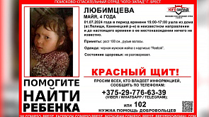 В Каменецком районе второй день ищут пропавшую 4-летнюю девочку