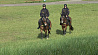 Единственный в Беларуси конный патруль работает в Лиде: как лошади помогают людям