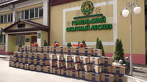 Профсоюзные организации Беларуси помогают пострадавшим от стихии