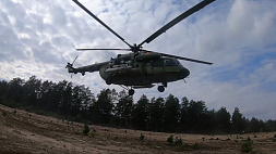 Двусторонние комплексные учения пройдут в Вооруженных силах Беларуси