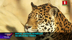 Весеннее пробуждение в Минском зоопарке