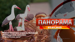 Главные новости в Беларуси и мире. Панорама, 07.07.2023