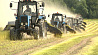 В Беларуси убрано более 8 % зерновых и зернобобовых культур