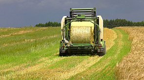 Жатва - 2024: аграрии Беларуси уже намолотили более 25 тыс. тонн озимого ячменя. Узнали, кто в лидерах