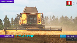 Первую тысячу тонн зерна намолотили в Брестской области 