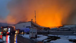 При пожаре в ТЦ "Мега Химки" погиб работник торгового центра