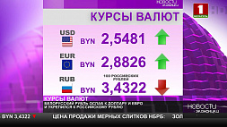 Курсы валют на 31 декабря - белорусский рубль ослаб к доллару и евро 