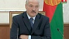 Президент Беларуси принял ряд кадровых решений