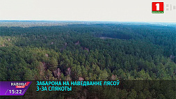 Запрет на посещение лесов действует в Вилейском, Борисовском, Березинском и Крупском районах Минской области