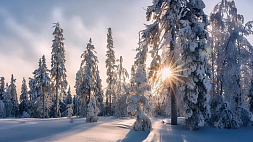 Народные приметы: погода в день зимнего солнцестояния повторится 31 декабря