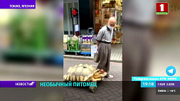 Пожилой японец стал столичной знаменитостью благодаря черепахе 