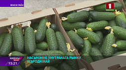Почти 900 тонн помидоров, огурцов, салата и зелени вырастили на Минской овощной фабрике с начала года