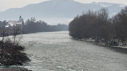 С 2022 года в реке Тисе утонули 19 мужчин, пытавшихся сбежать из Украины  