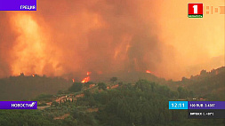В Греции зафиксировано 56 пожаров
