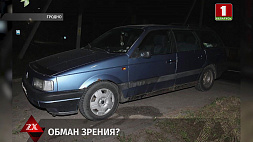 В Гродно мужчина напал на машину - думал, что это кабан