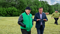 Уборочная в стране, аграрные технологии и эксперименты - в Витебской области Александру Лукашенко показали экспериментальные методы обработки почвы