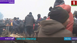 Представитель управления ООН в Беларуси по делам беженцев: Ситуация на границе катастрофическая, и через день она ухудшится