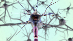 Разработан искусственный нейрон, который выделяет в мозг "гормон счастья"